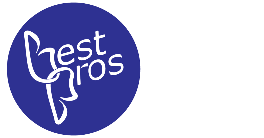 best pros in town Logo